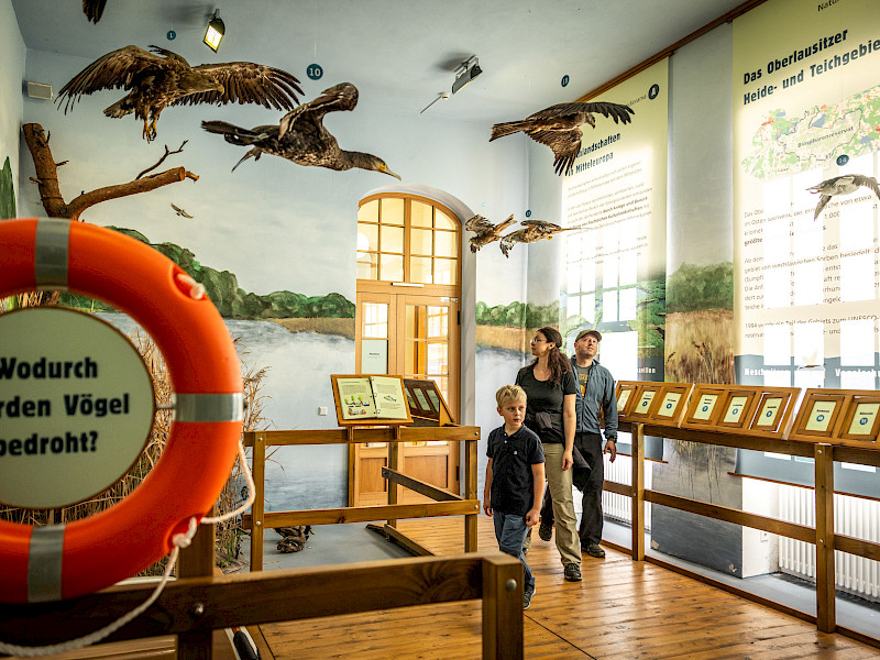 Eine Familie betrachtet die Dauerausstellung Neschwitzer Vogelschutzpavillon in der Vogelschutzwarte Neschwitz. Im Vordergrund ist eine Rettungsring mit der Aufschrift 