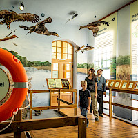 Eine Familie mit Kind besucht die Dauerausstellung Neschwitzer Vogelschutzpavillon das Vogelarten und ihre Lebensräume in Mitteleuropa präsentiert. Im Vordergrund ist ein Rettungsring mit der Aufschrift 