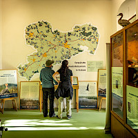 Eine Familie mit Kind besucht die Dauerausstellung Neschwitzer Vogelschutzpavillon das Vogelarten und ihre Lebensräume in Mitteleuropa präsentiert