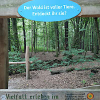 Ein hölzerner Rahmen gibt den Blick auf einen Wald frei, der mit den Worten 