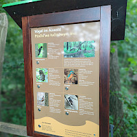Ein hölzernes Informationsschild mit mehreren Bildern und Beschreibungen verschiedener Vögel im Auwald und in Feuchtgebieten. Das Schild enthält auch eine Spielanleitung mit einer Kurbel.