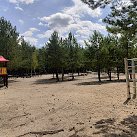 Ein Sandspielplatz im Wald mit einer Rutsche und einem Klettergerüst. Der Spielplatz ist von Bäumen umgeben und der Himmel ist blau mit weißen Wolken.