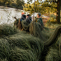 Vier Fischer gehen vom Ufer in einen Teich und tragen ein großes Fischernetz ins Wasser. Hohes Gras und Bäume säumen das Ufer.