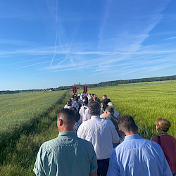Marienwallfahrt nach Rosenthal, Pilger im Prozession zwischen einem Getreidefeld, im Hintergrund ist die Wallfahrtskirche von Rosenthal zu sehen