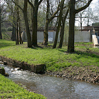 Fischtreppe bei Uhyst _ Bodo Hering