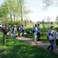 Eine Gruppe von Menschen macht einen Spaziergang auf einem Feldweg, begleitet von Hunden. Sie sind von grünen Bäumen und Wiesen umgeben.