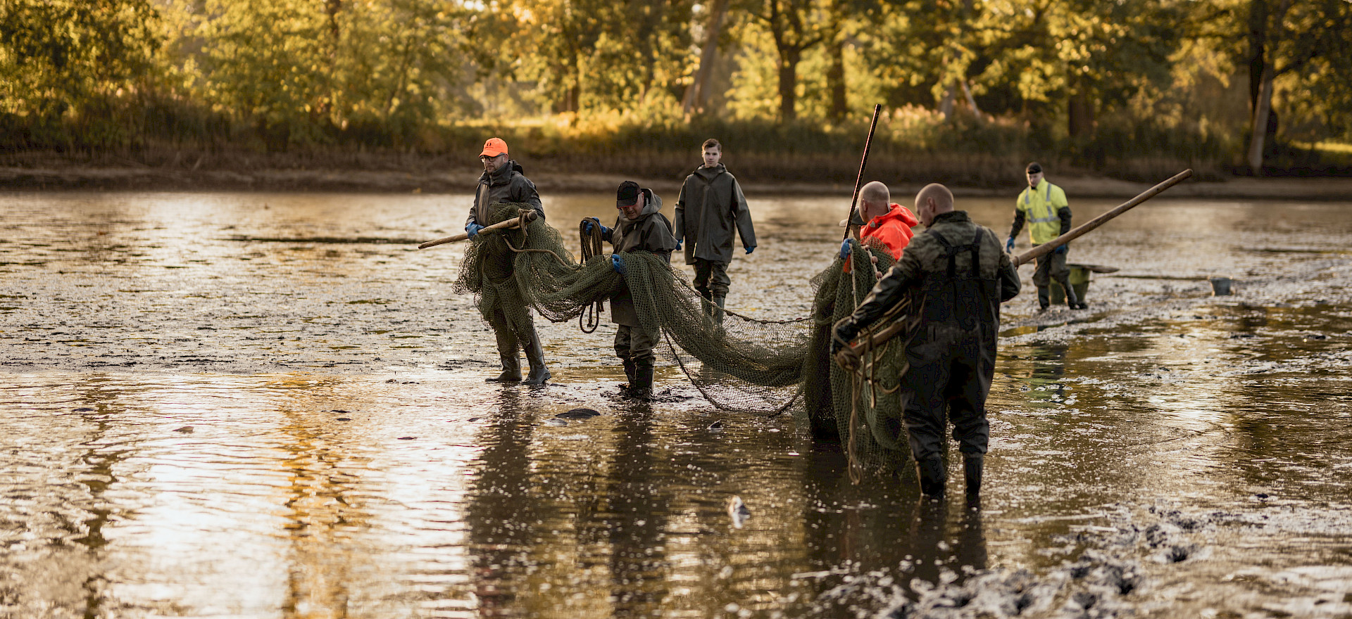 Eine Gruppe von Männern watet im flachen Wasser und zieht ein großes Fischernetz. Sie sind in einem schlammigen Umfeld mit Bäumen im Hintergrund.