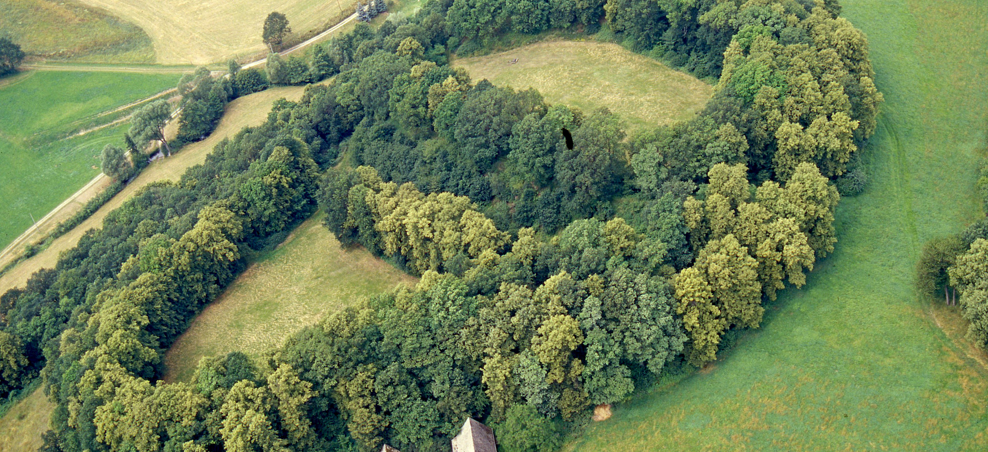 Luftaufnahme der Ostroer Schanze vom Landesamt für Archäologie Sachsen