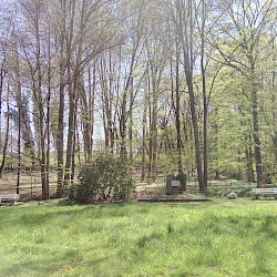 Lippepark - Ein Gedenkort mit Bäumen und Bänken. Im Hintergrund ist ein Denkmal zu sehen.