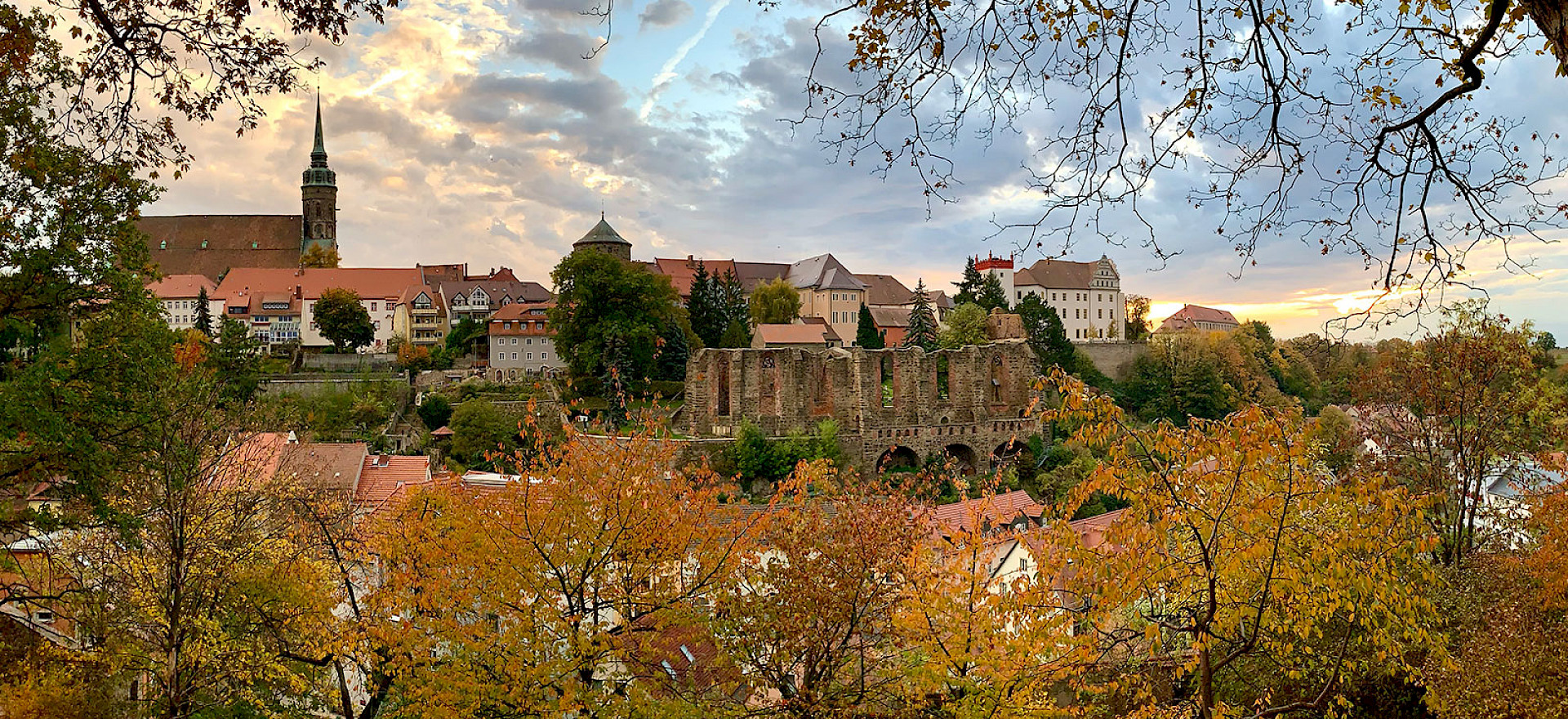 Blick auf die Ruine der Nicolaikirche, im Vordergrund stehen buntgefärbte Laubbäume