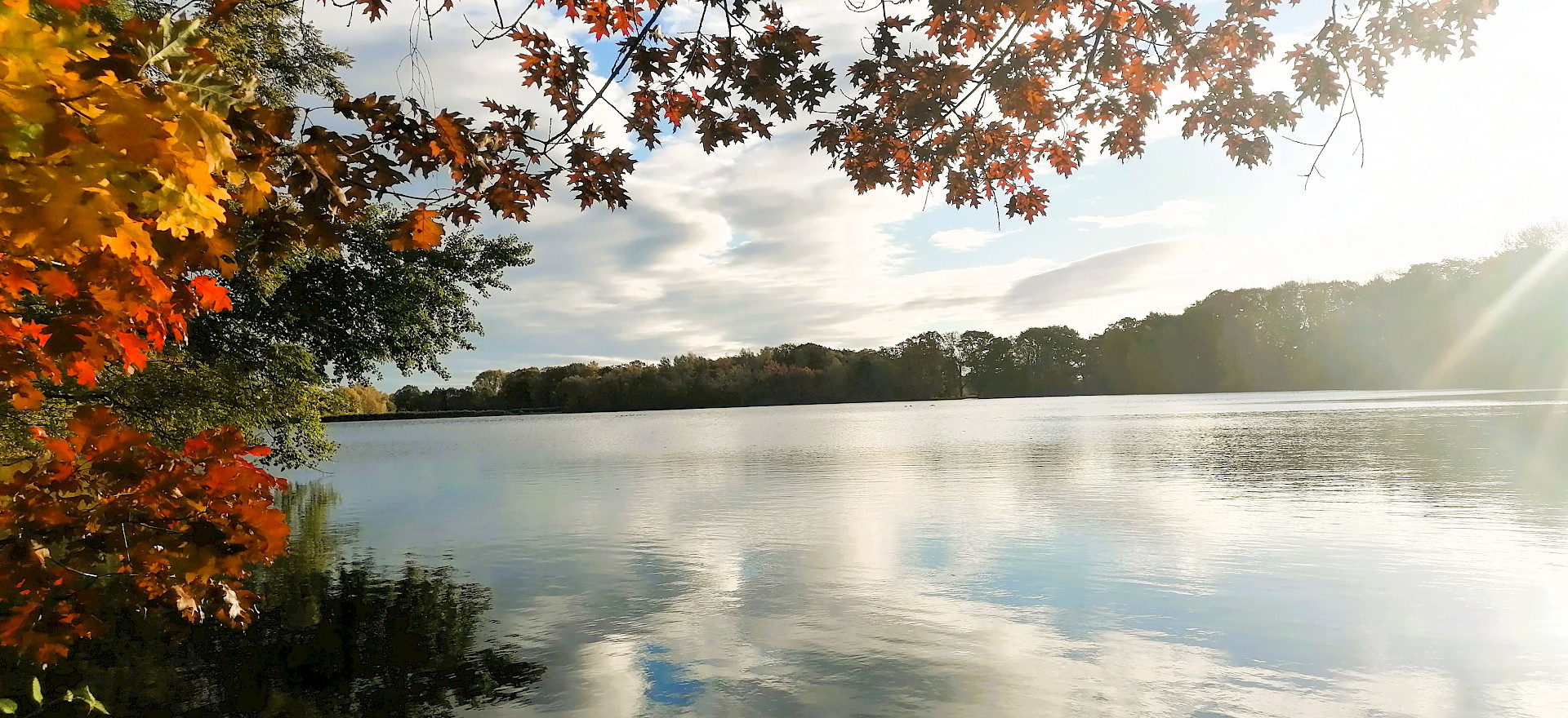 Herbststimmung am Teich, buntgefärbte Laubbäume im Vordergrund und die Wolken spiegeln sich im Wasser